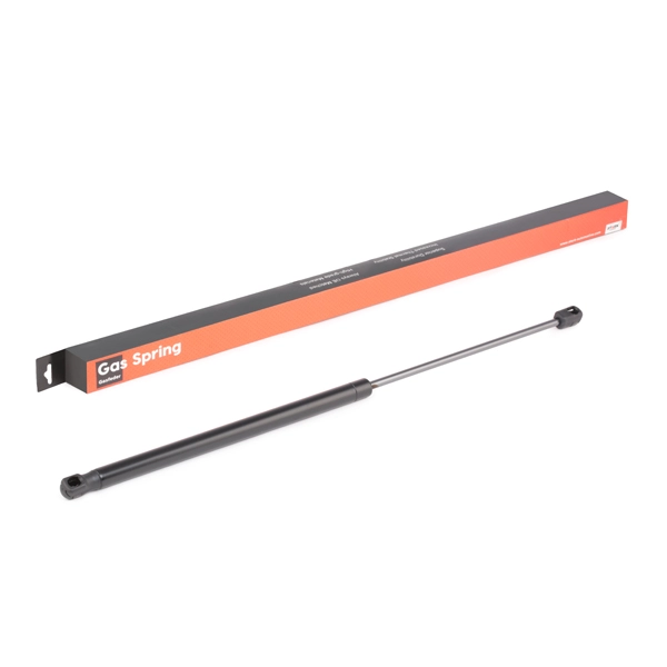SKGS-0220373