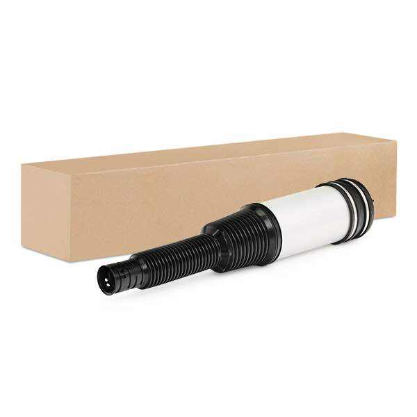 SKASS-1850039