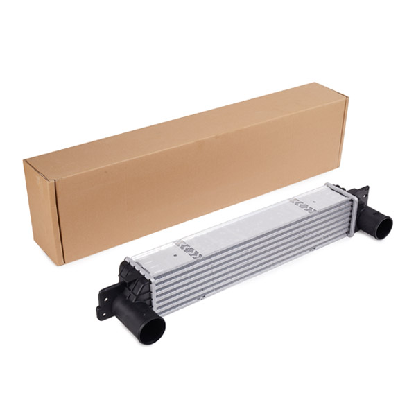SKICC-0890248