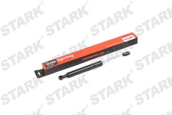SKGSR-3970003
