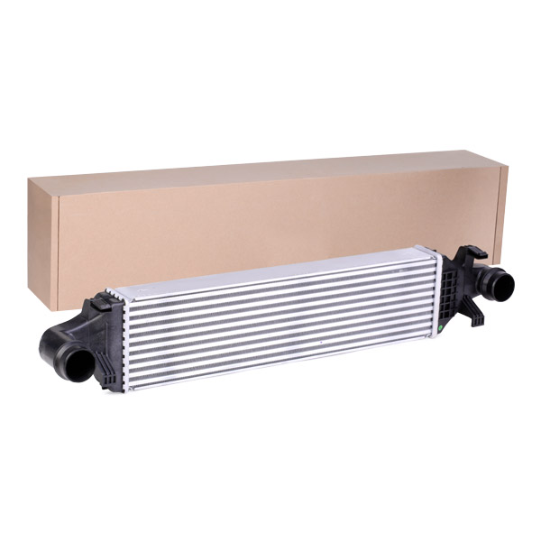 SKICC-0890261