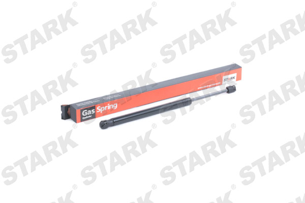 SKGSR-3970012