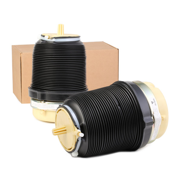 SKASS-1850083
