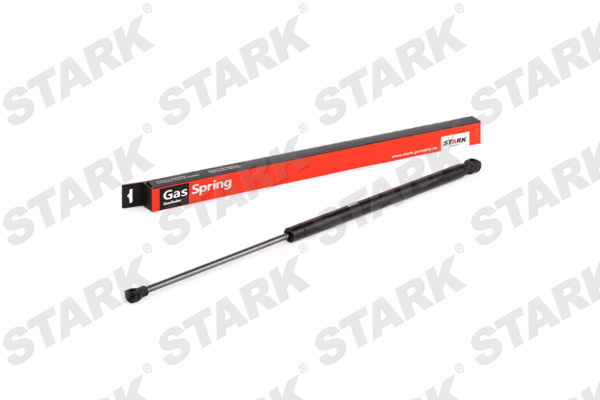 SKGS-0220266