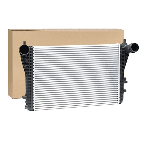 SKICC-0890467