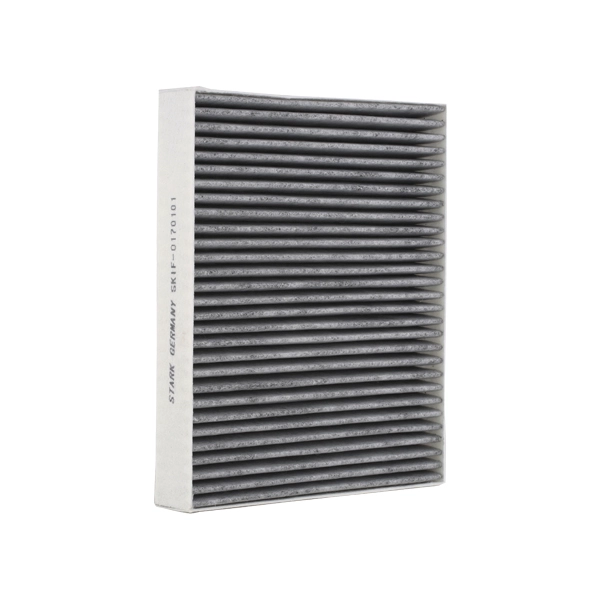 SKIF-0170101