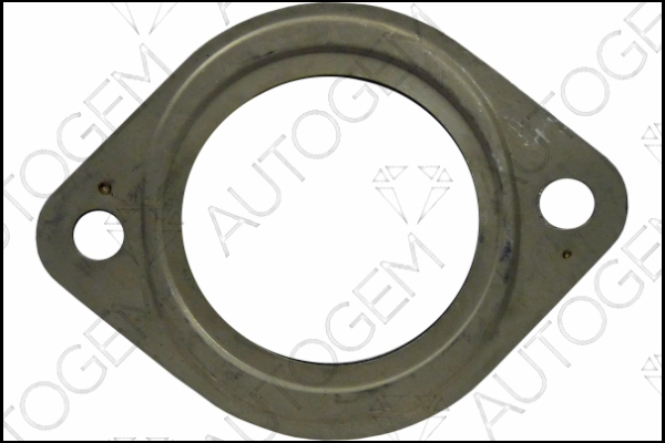 CEG7267
