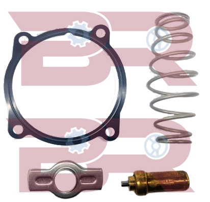 BRAC1087