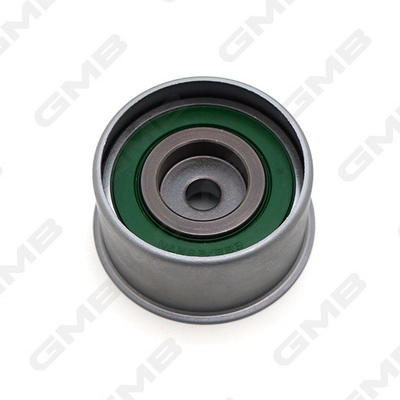 GT10061