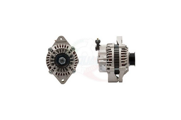 ALGE01560