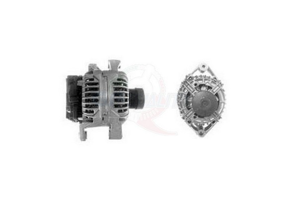ALGE01551