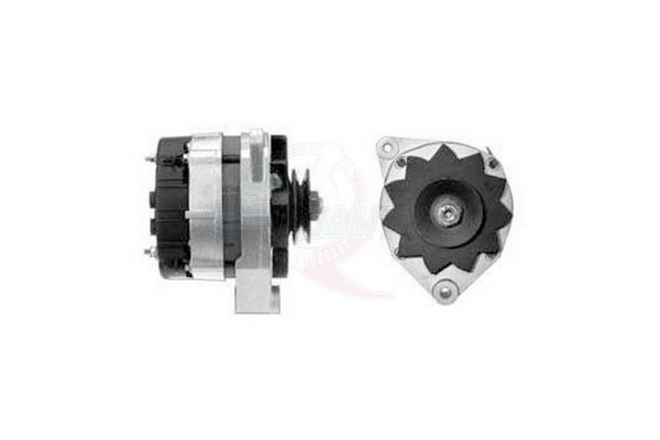 ALGE00167