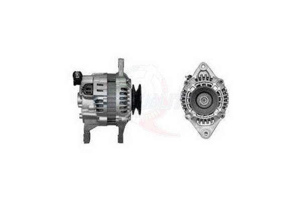 ALGE01286