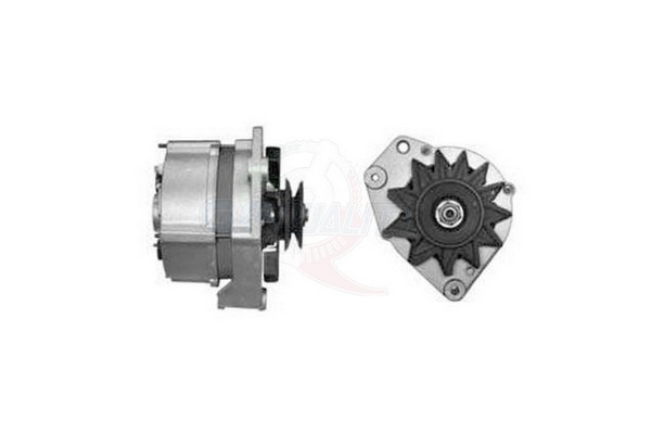 ALGE00264