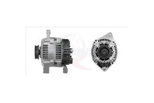 ALGE00325
