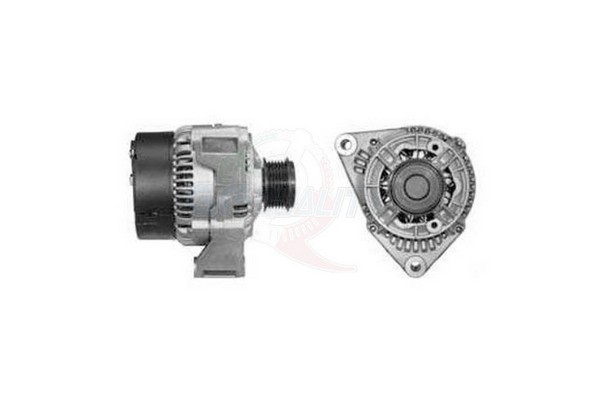ALGE00334