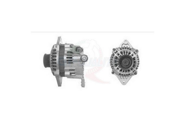 ALGE01528