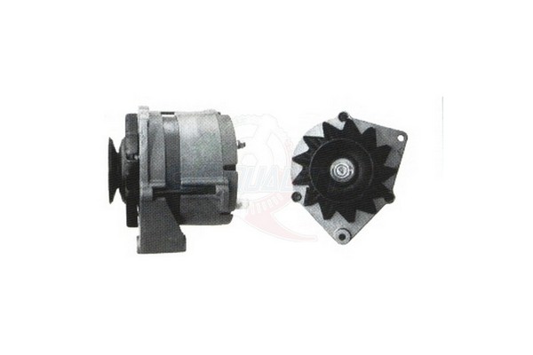 ALGE01351