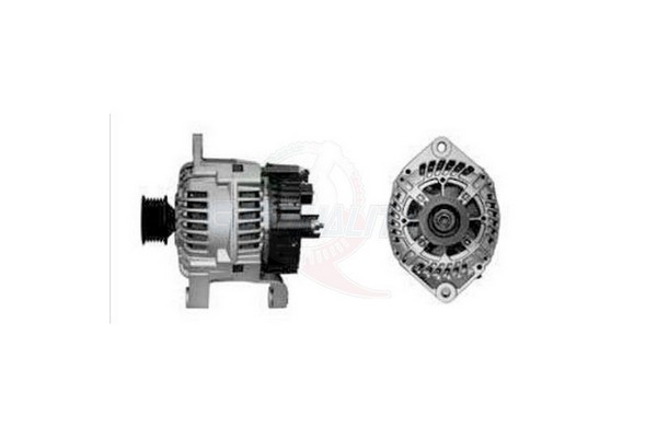 ALGE00345
