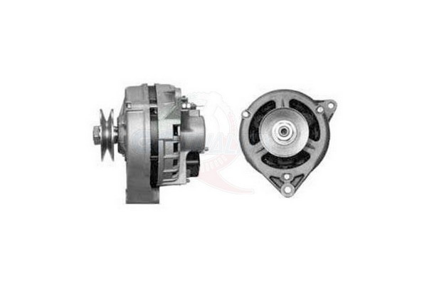 ALGE00350
