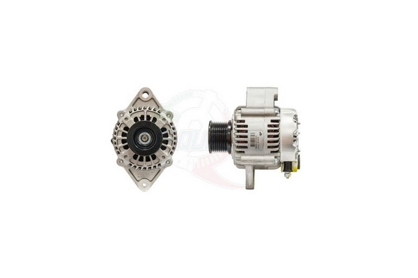 ALGE01662