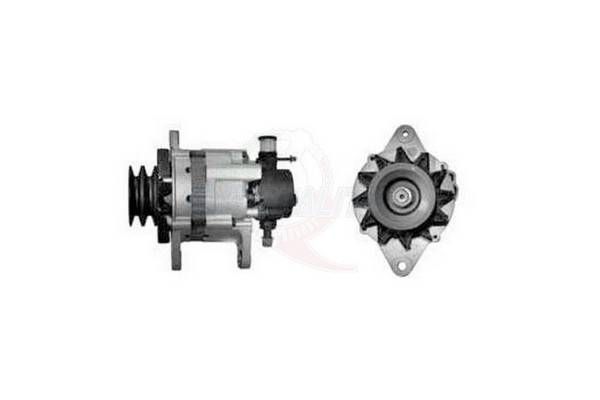ALGE00256