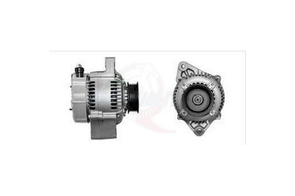 ALGE01269