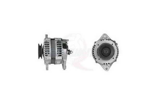 ALGE00177