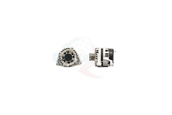 ALGE01878