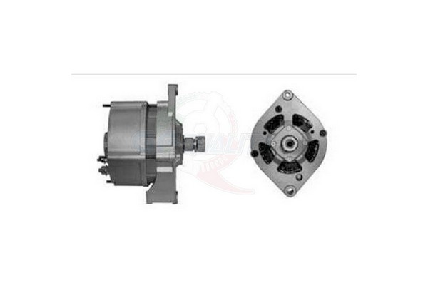 ALGE00375