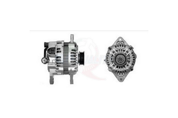 ALGE01260