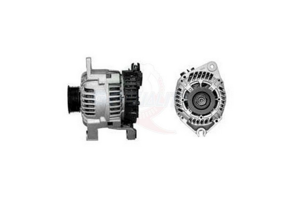 ALGE00154