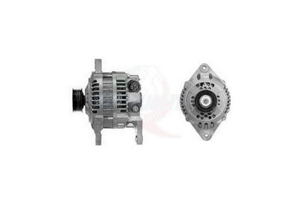 ALGE01254