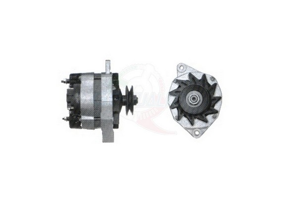 ALGE00842