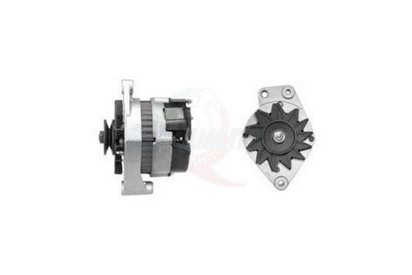 ALGE00844