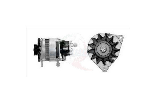ALGE00286