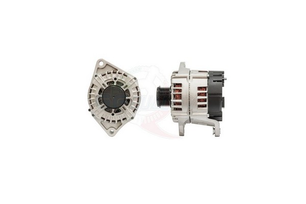 ALGE01667