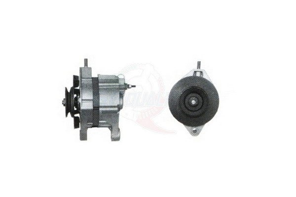 ALGE00454