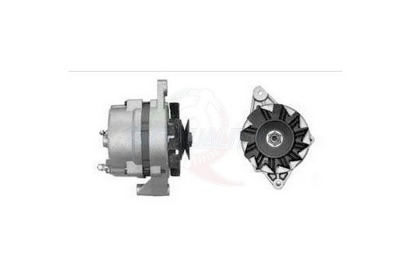 ALGE00895