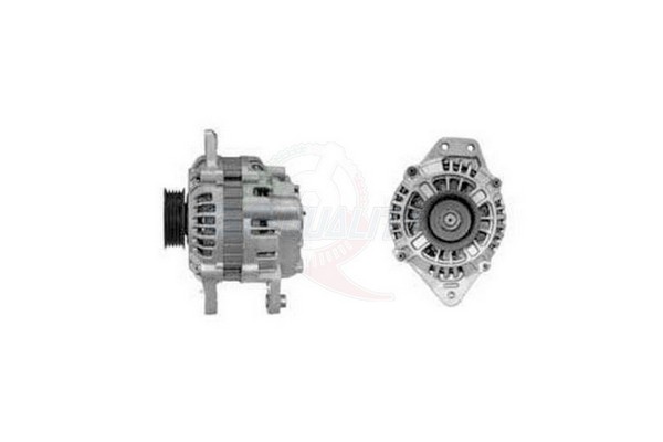 ALGE01245
