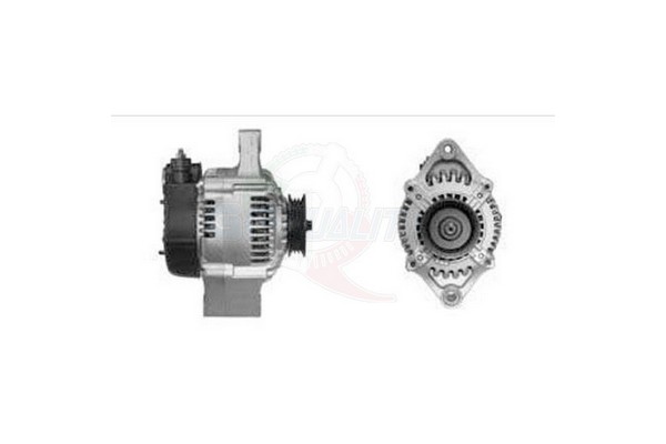 ALGE01257