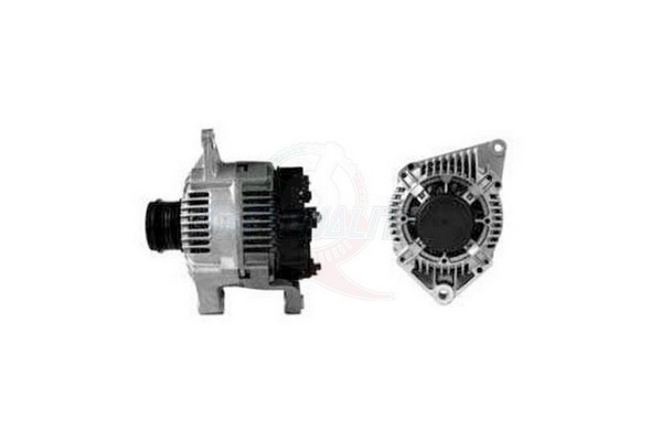 ALGE00257
