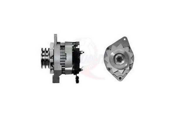 ALGE00969