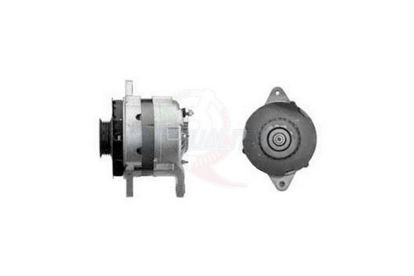 ALGE01159