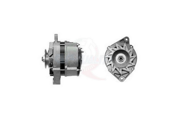 ALGE00354