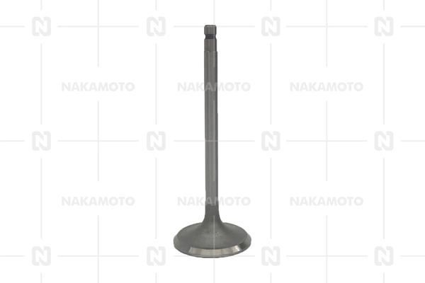 A29-NIS-18010150