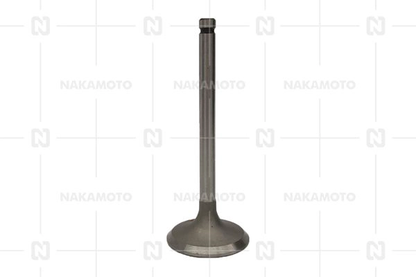 A29-MIT-18020004