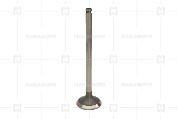A29-HYD-19100001