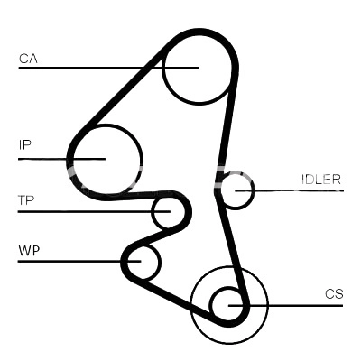 SY1101203PE