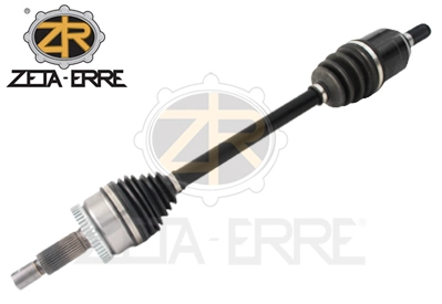 ZR12176